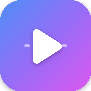 VidParse Pro